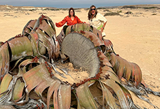 Namibe - Serra da Leba e Moçâmedes